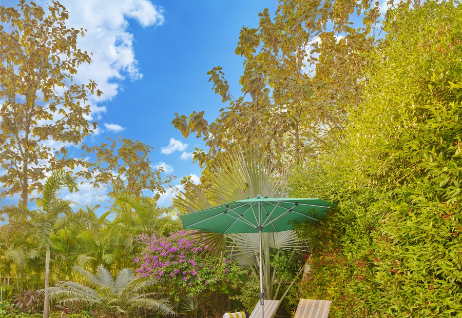 Stone Water Karjat room and resort stay
